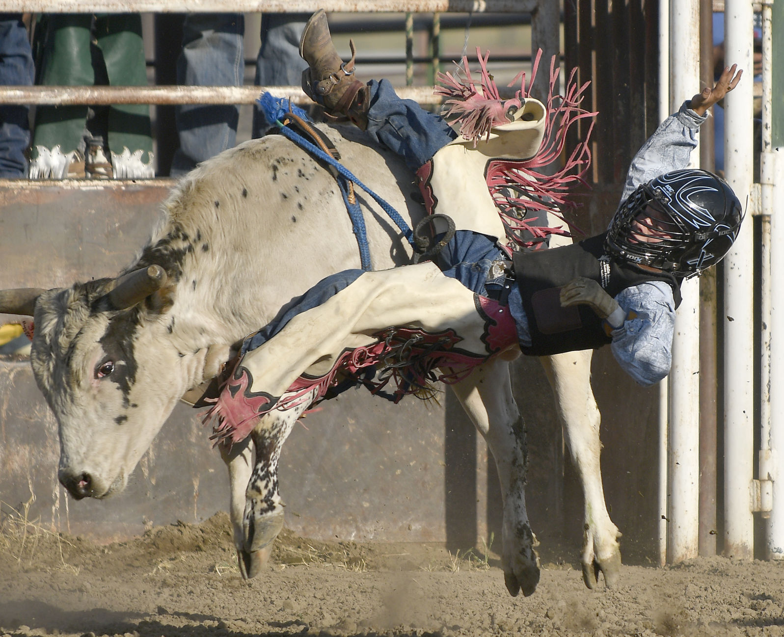Lincoln County Mini Bull Riding